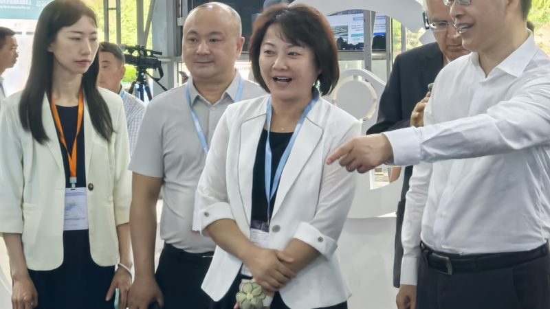 特种轮胎定制流程规范：从需求分析到质量保证